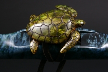 Boxelder Burl Native American Flute, Minor, High C-5, #E4A